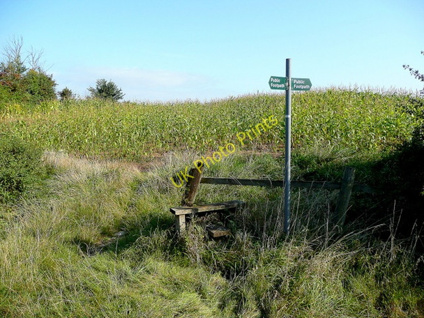 Photo 6"x4" Footpath to Tirley Hasfield c2009