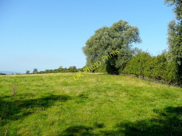 Photo 6"x4" Pasture on Corse Wood Hill Wickridge Street c2009