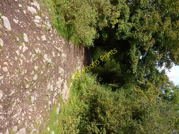 Photo 6"x4" Start of Burrington Ham nature trail Bourne\/ST4859 c2009