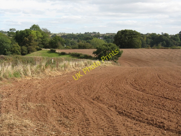 Photo 6"x4" Fieldscape, Court Farm, Shrawley Boreley c2009