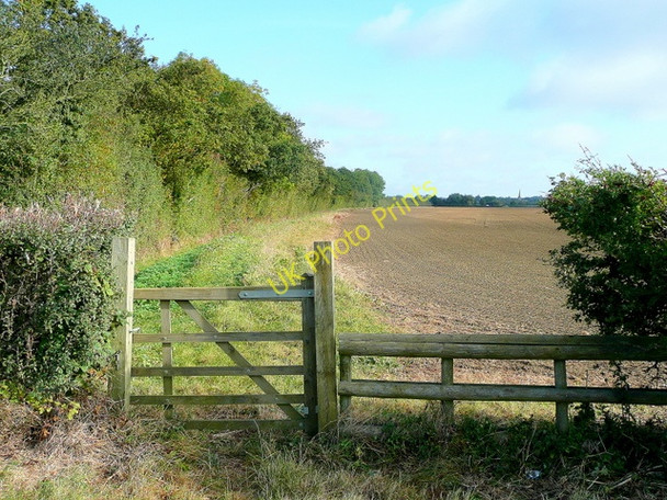 Photo 6"x4" Path alongside Mocho Coppice Childswickham c2009