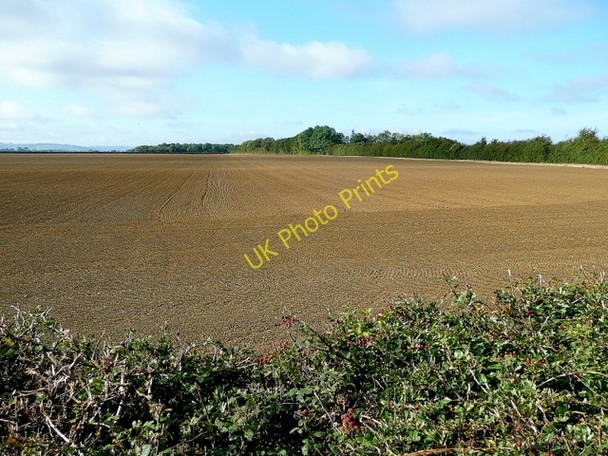 Photo 6"x4" View to Mocho Coppice Childswickham c2009