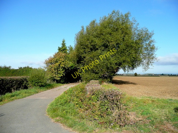 Photo 6"x4" Track to Little Mocho Farm Childswickham c2009