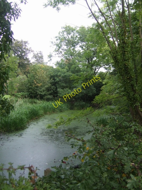 Photo 6"x4" Shrewsbury Canal Uffington\/SJ5213 c2009