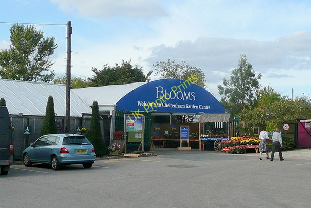 Photo 6"x4" Blooms Cheltenham Garden Centre Brockhampton\/SO9426 c2009