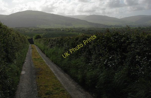 Photo 6"x4" The road to Glan Morfa Bach farmhouse Bryncrug c2009