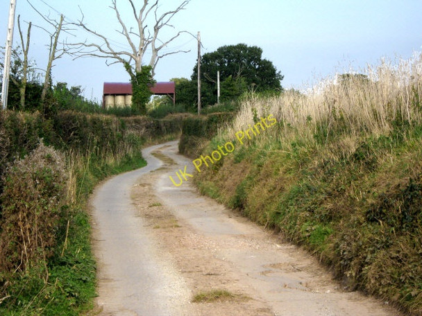 Photo 6"x4" Track from Oakenford Farm, Goathurst Goathurst c2009