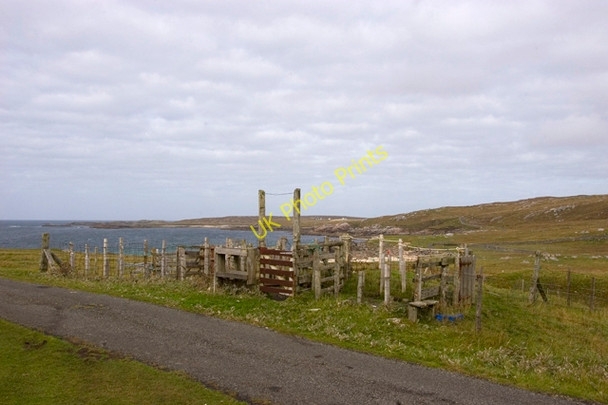 Photo 6"x4" Sheep Fank at Mealasta Mealasta\/NA9924 c2009