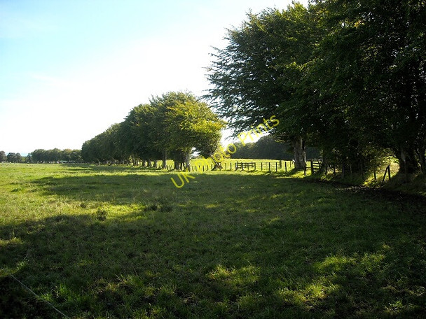 Photo 6"x4" Fields Near Brackenridge Laigh Carnduff c2009