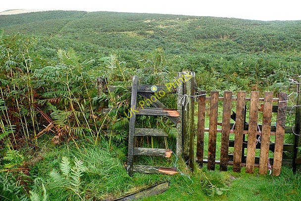 Photo 6"x4" Edge of the National Park Fawdon\/NU0315 c2009