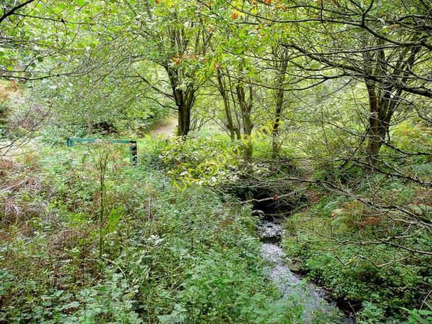 Photo 6"x4" The Greathough Brook Brierley\/SO6215 c2009