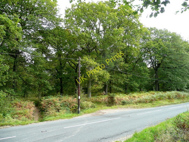 Photo 6"x4" New Road, B4234 Worrall Hill c2009