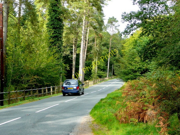 Photo 6"x4" B4234 New Road 2 Worrall Hill c2009