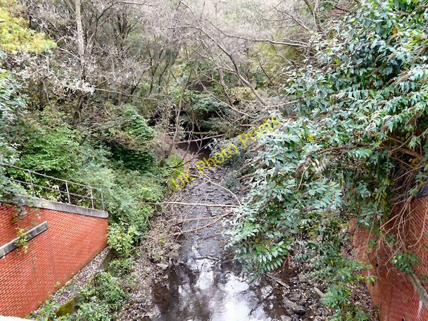 Photo 6"x4" River Medlock Manchester c2009