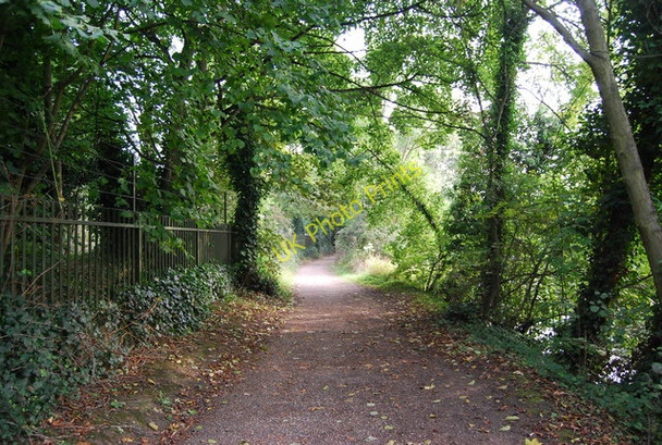 Photo 6"x4" Medway Valley Walk Maidstone c2009 P1