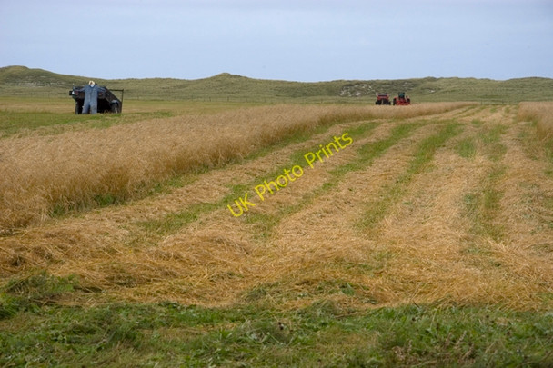 Photo 6"x4" Crofting agriculture on the machair Borgh\/NF9181 c2009