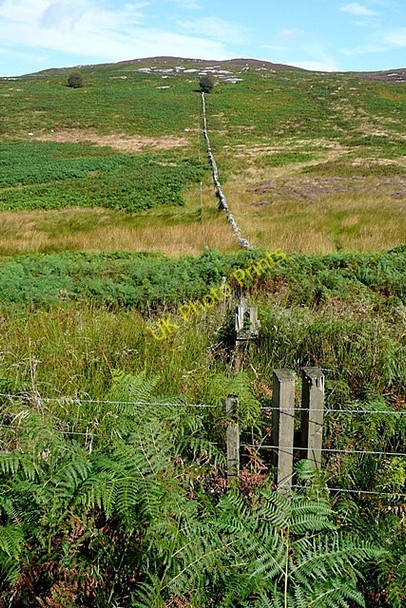 Photo 6"x4" Towards Cartington Hill Cartington c2009