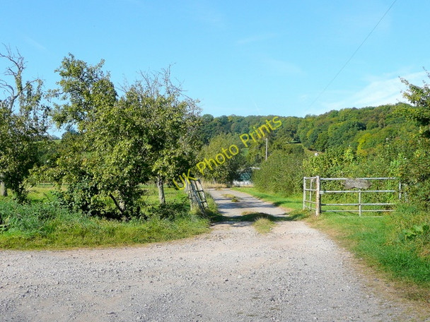 Photo 6"x4" Entrance to Monk Hill Farm Blaisdon c2009