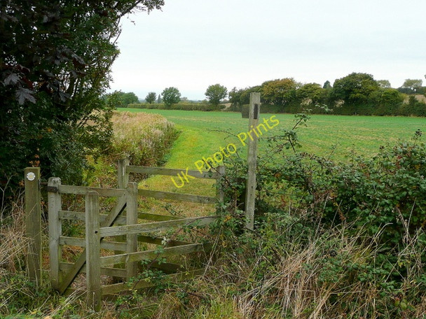 Photo 6"x4" Footpath to Wickhamford Murcot c2009