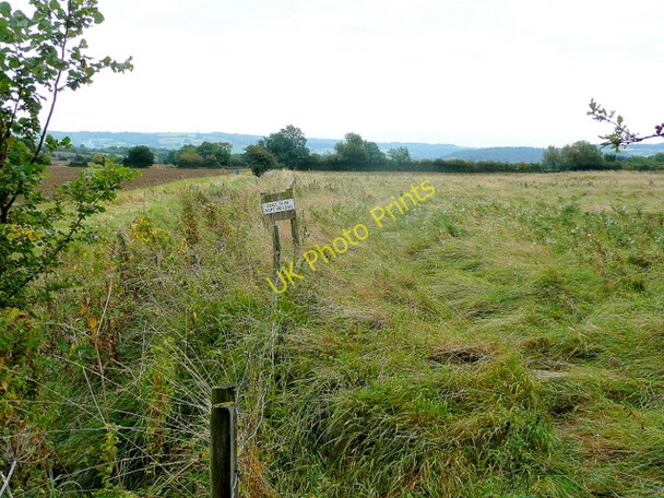 Photo 6"x4" Footpath to Childswickham Murcot c2009