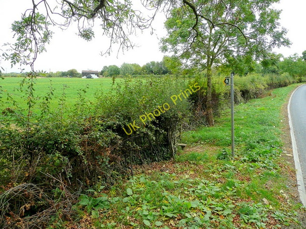 Photo 6"x4" Footpath north from Collin Lane Willersey c2009