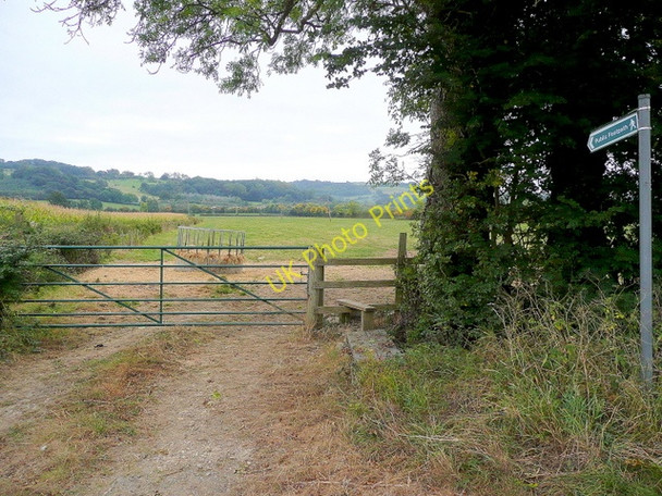 Photo 6"x4" Footpath from the Broadway Road Willersey c2009