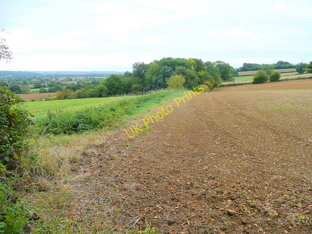 Photo 6"x4" Cotswold farmland Stow-on-the-Wold c2009