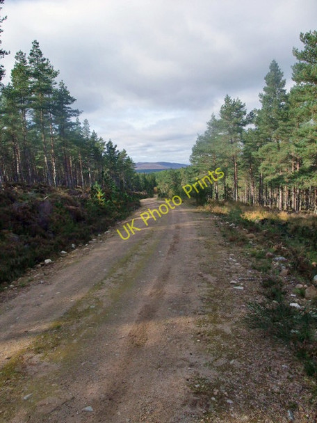 Photo 6"x4" The Hill Hartmount c2009