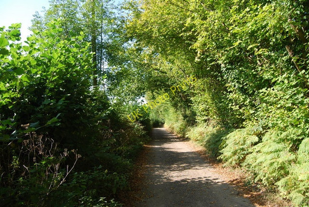 Photo 6"x4" Track to Smockham Farm Royal Tunbridge Wells c2009