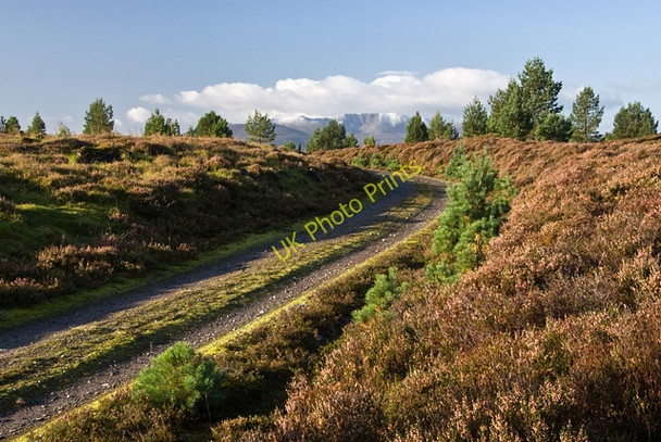 Photo 6"x4" Track to the communications tower Bridge of Gairn c2009