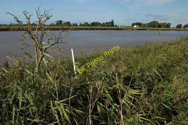 Photo 6"x4" Bend in the Ouse Goole c2009