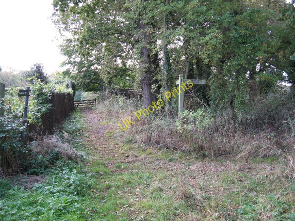 Photo 6"x4" Bridleway Junction At The Ashes Arley Green c2009