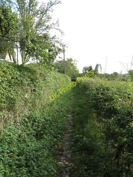Photo 6"x4" Bridleway Alongside The Ashes Arley Green c2009