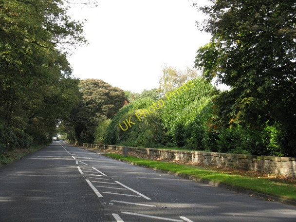 Photo 6"x4" A50, Looking Toward High Legh High Legh c2009