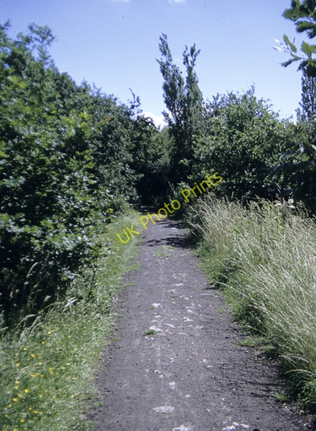 Photo 6"x4" Track in the Dunton Plotlands nature reserve Great Berry c1990