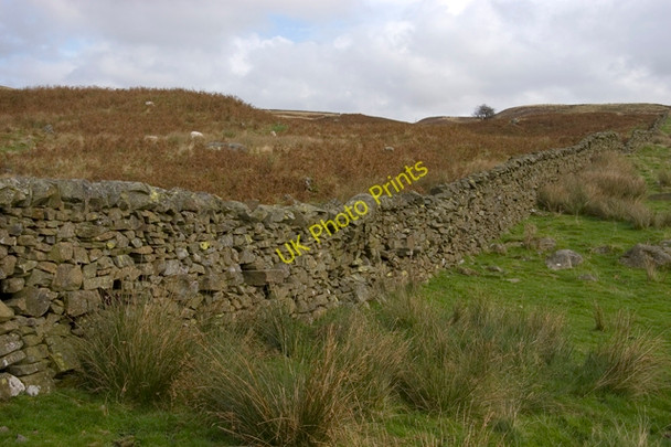 Photo 6"x4" Fellside Wall on Staveley Head Fell Green Quarter c2009