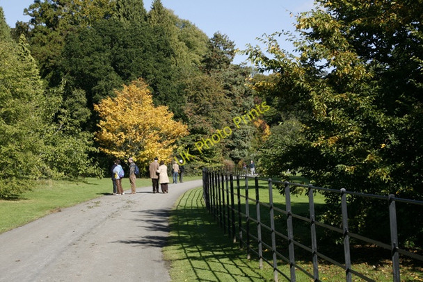 Photo 6"x4" Batsford Arboretum Batsford c2009