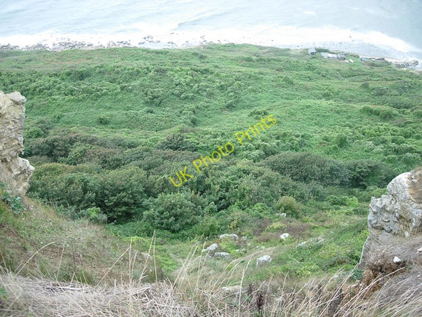 Photo 6"x4" Undercliff at St Aldhelm's Head Worth Matravers c2006