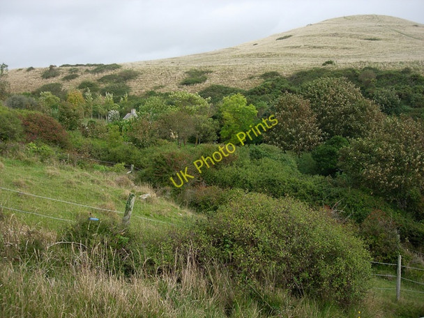 Photo 6"x4" Winspit Valley Worth Matravers c2006