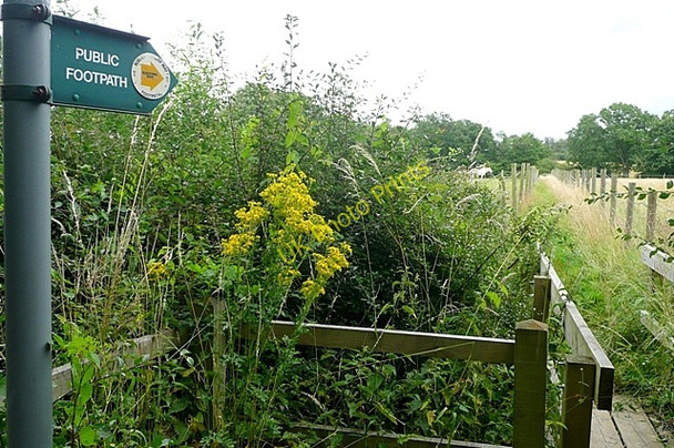 Photo 6"x4" Footpath towards Skinner's Green Enborne c2009