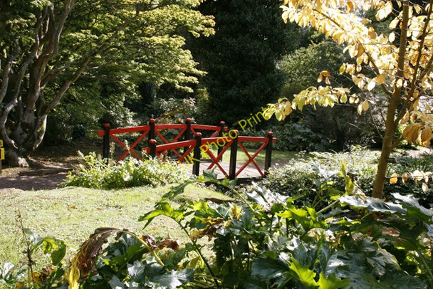 Photo 6"x4" The Japanese Bridge, Batsford Arboretum Batsford c2009
