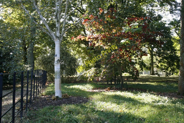 Photo 6"x4" Batsford Arboretum in Autumn Batsford c2009