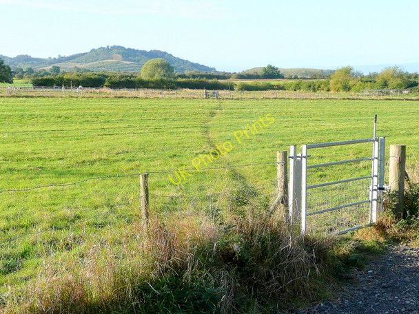 Photo 6"x4" Footpath south-west from Little Beckford Little Beckford c2009