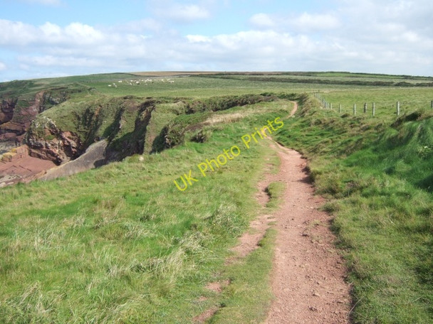 Photo 6"x4" Coast path above the cliffs at Musselwick Marloes c2009
