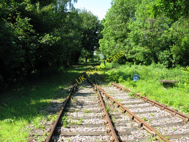 Photo 6"x4" Crossing the East Kent Railway Eythorne c2009