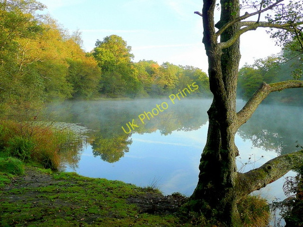 Photo 6"x4" Lower Cannop Pond; October morning mist 1 Cannop c2009