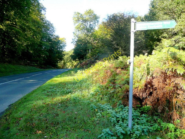 Photo 6"x4" Road to Coleford Ellwood c2009