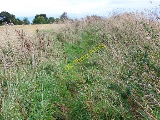 Photo 6"x4" Footpath to Blairgowrie Blairgowrie c2009