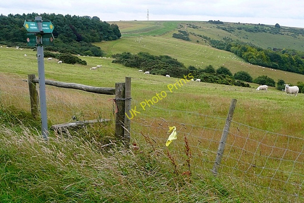 Photo 6"x4" Towards Combe Hill Combe\/SU3760 c2009