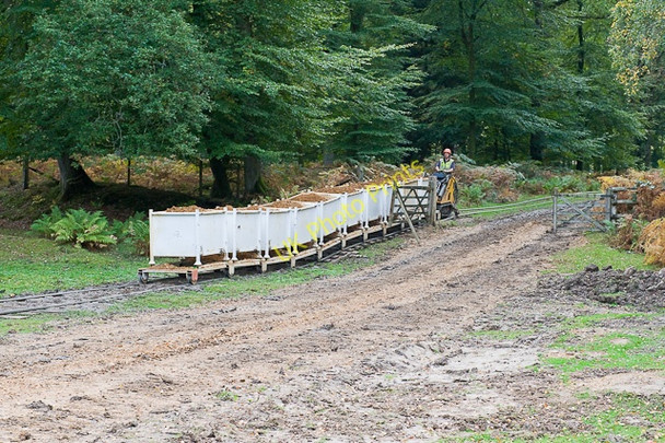 Photo 6"x4" Warwickslade Cutting: running the railway Bank\/SU2807 c2009